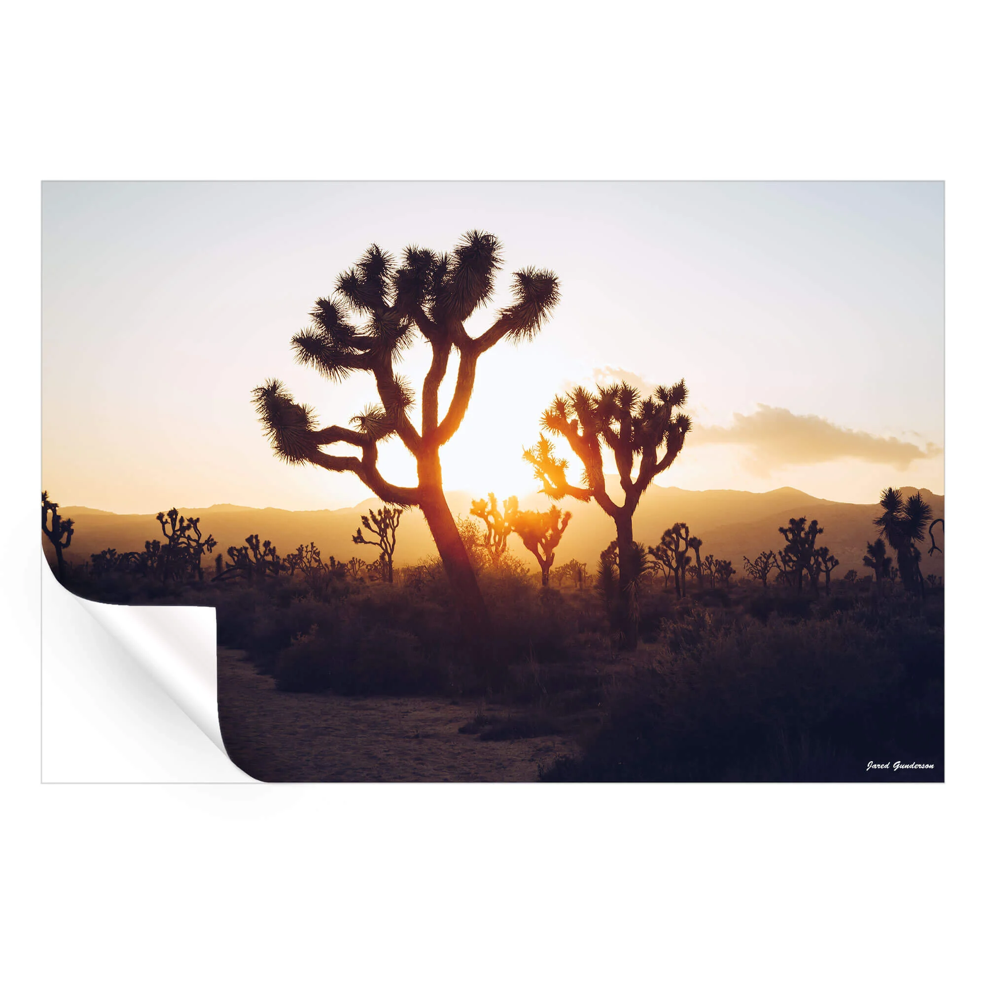 Desert Sunrise - Image 3