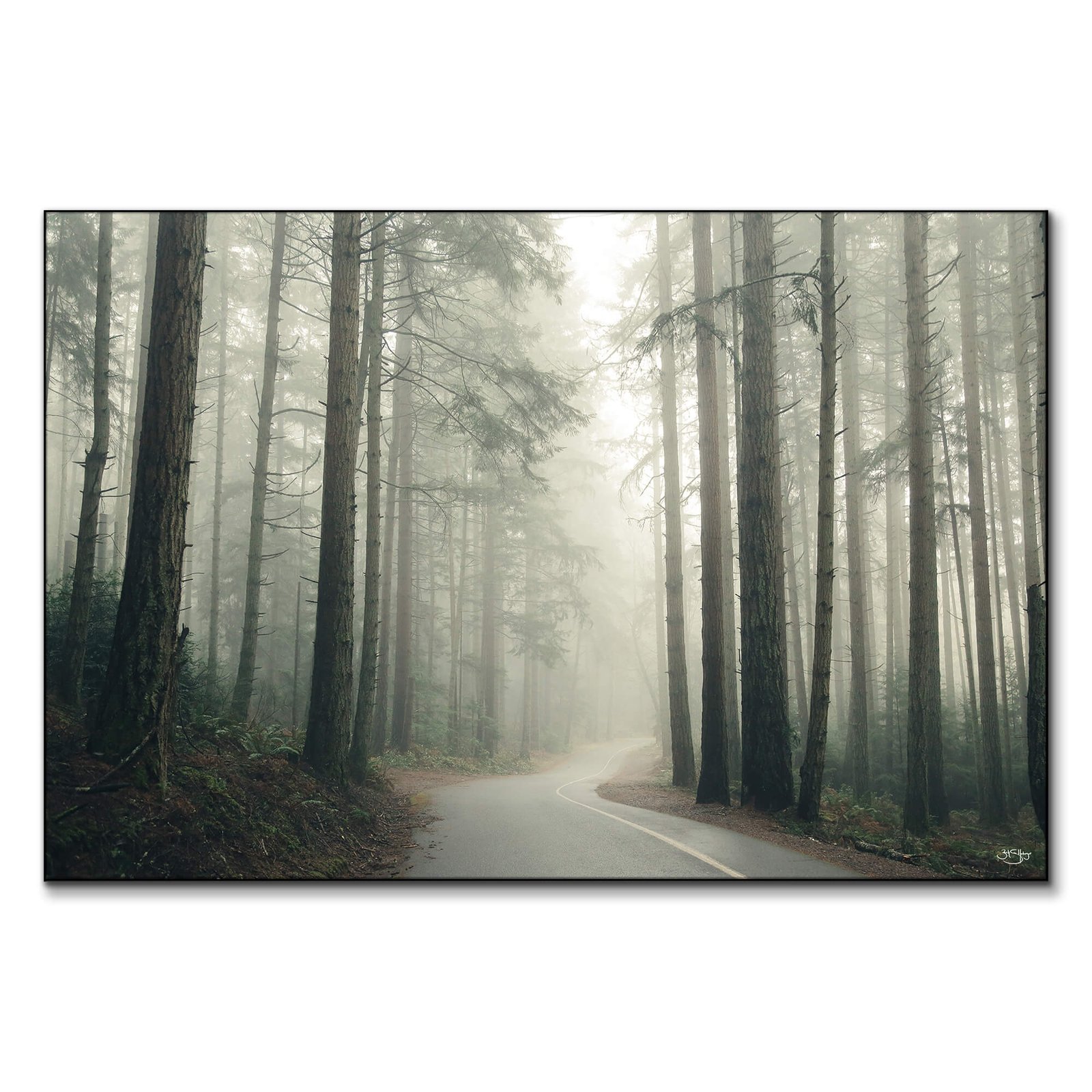 Pacific Northwest