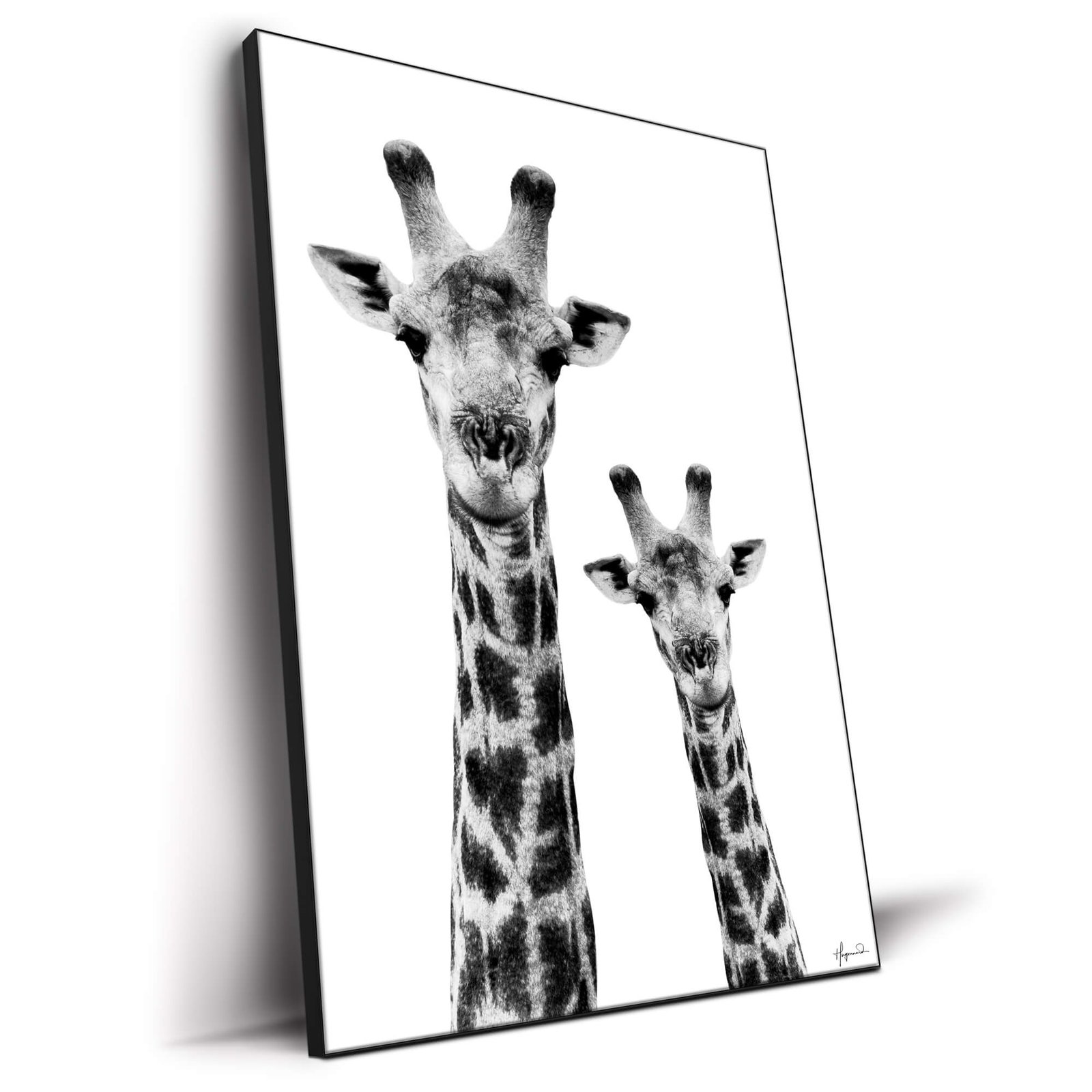 Giraffe and Baby White Edition - Image 2