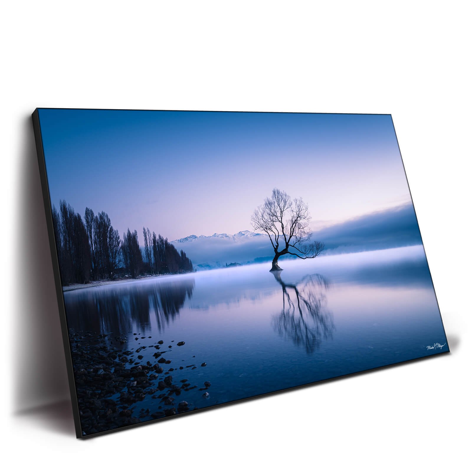 Wanaka Tree - Image 2