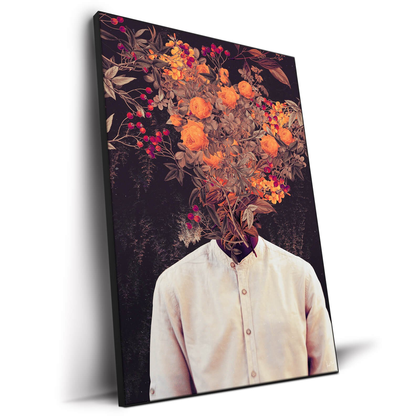 Bloom - Image 2