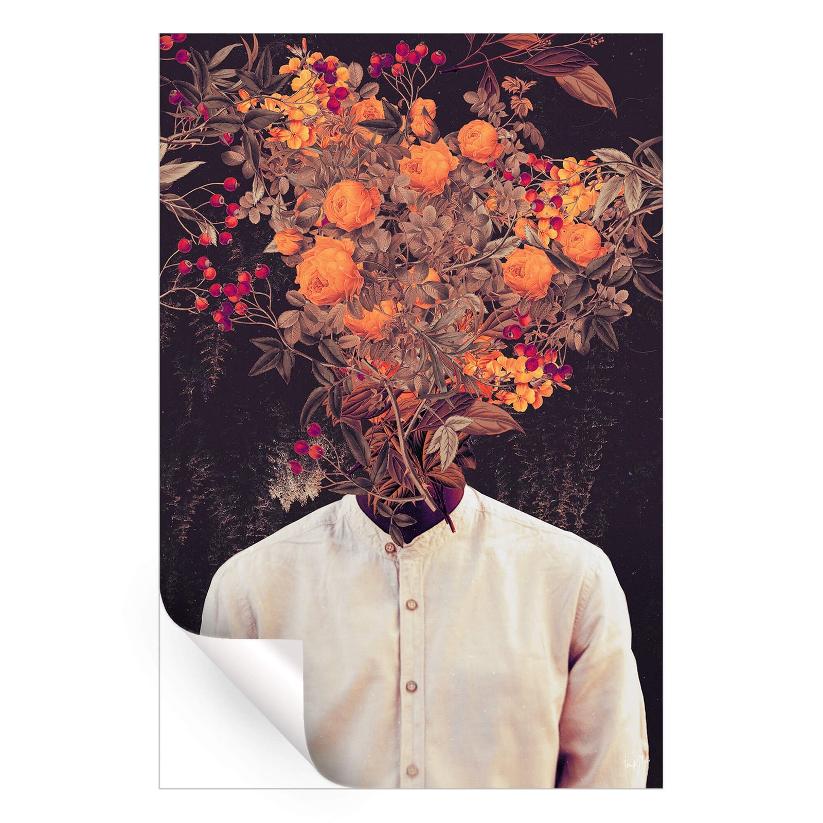 Bloom - Image 3