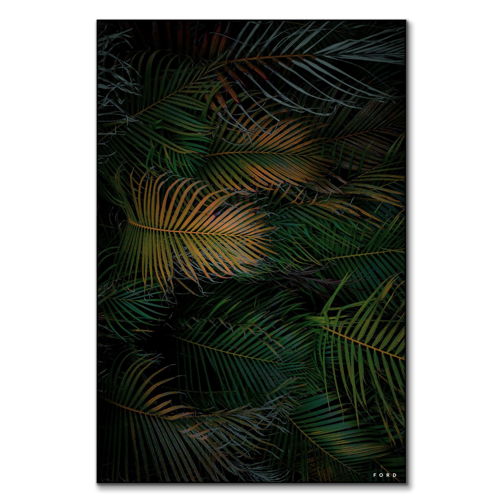 Palm Sundae View