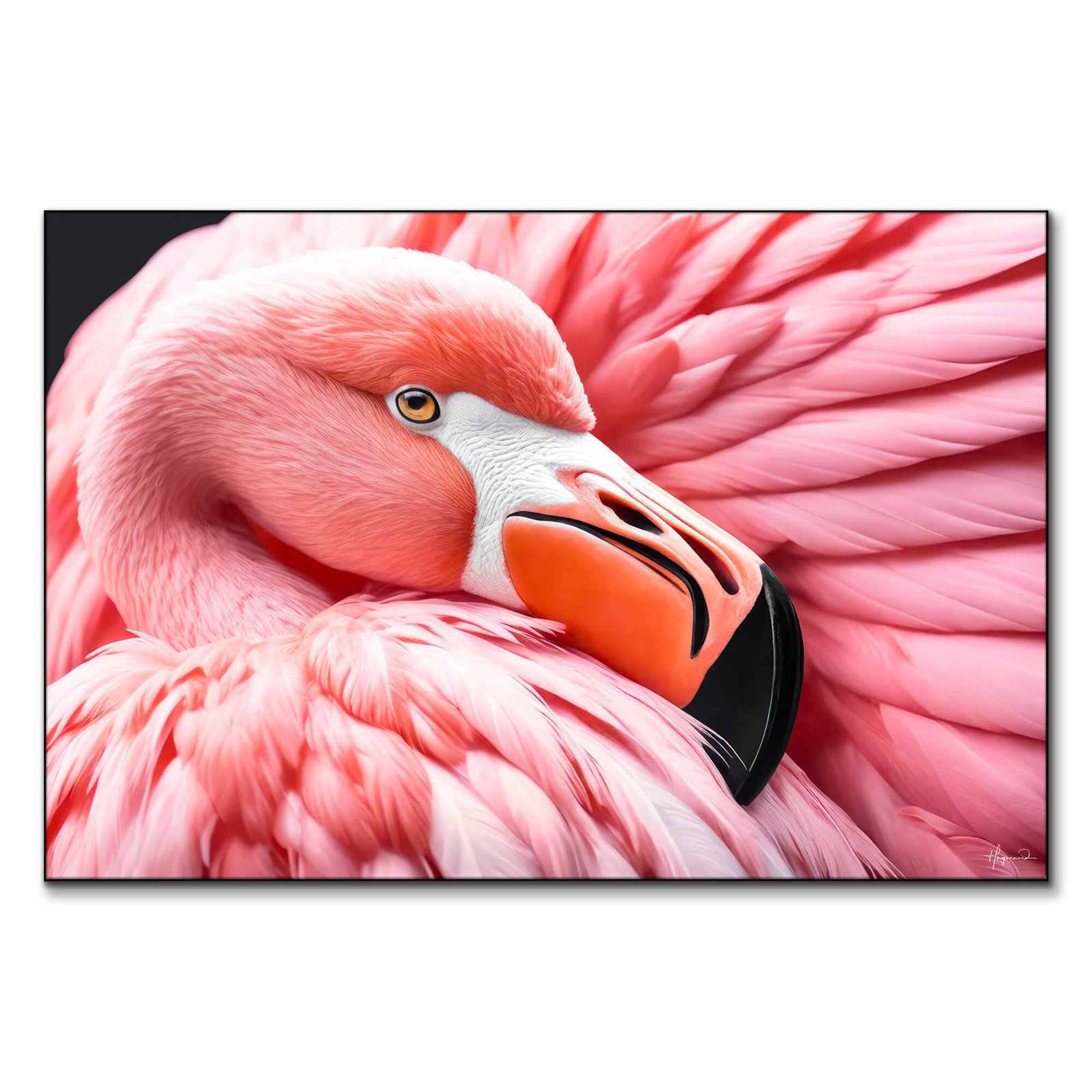 Between the Pink Wings