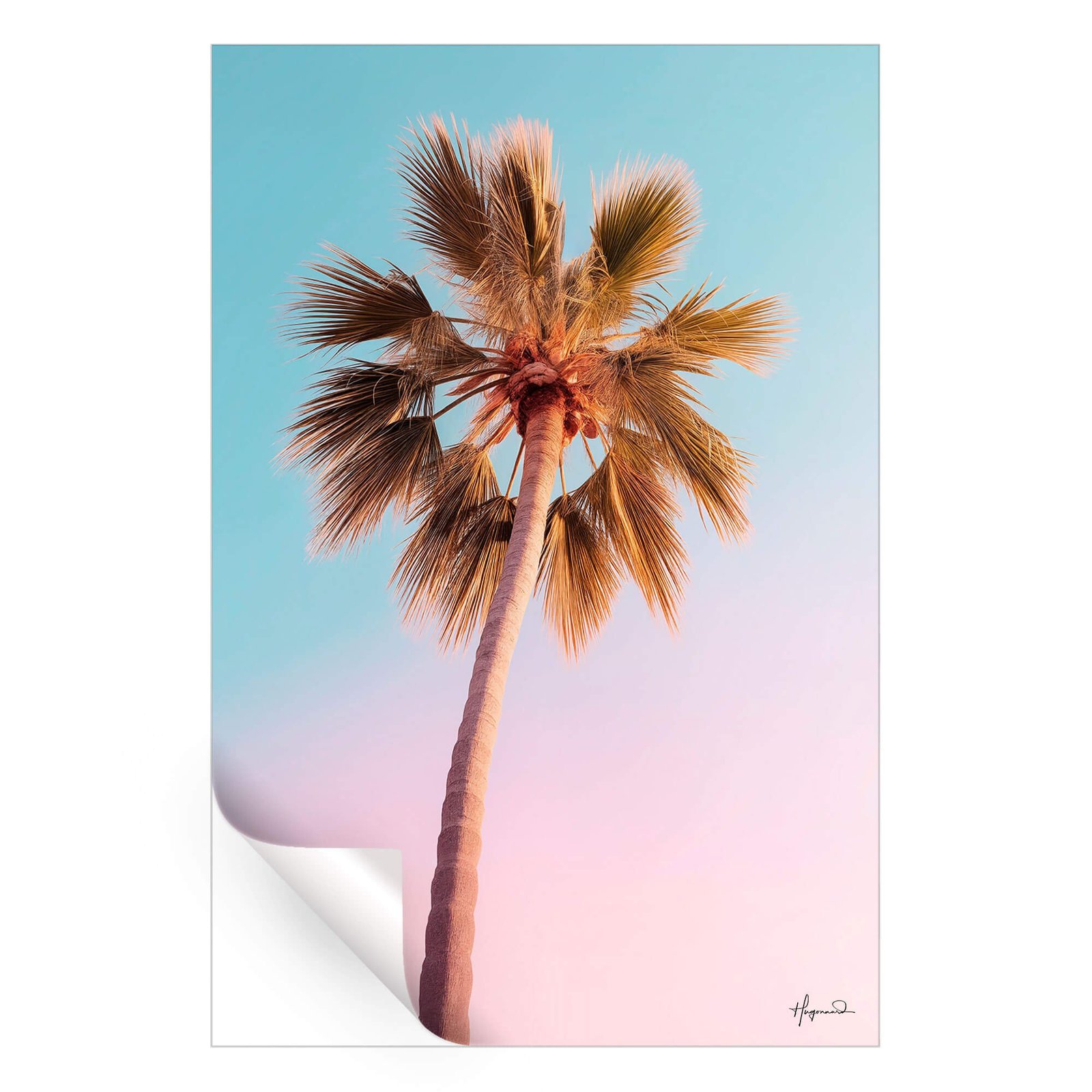 The Pastel Palm - Image 3
