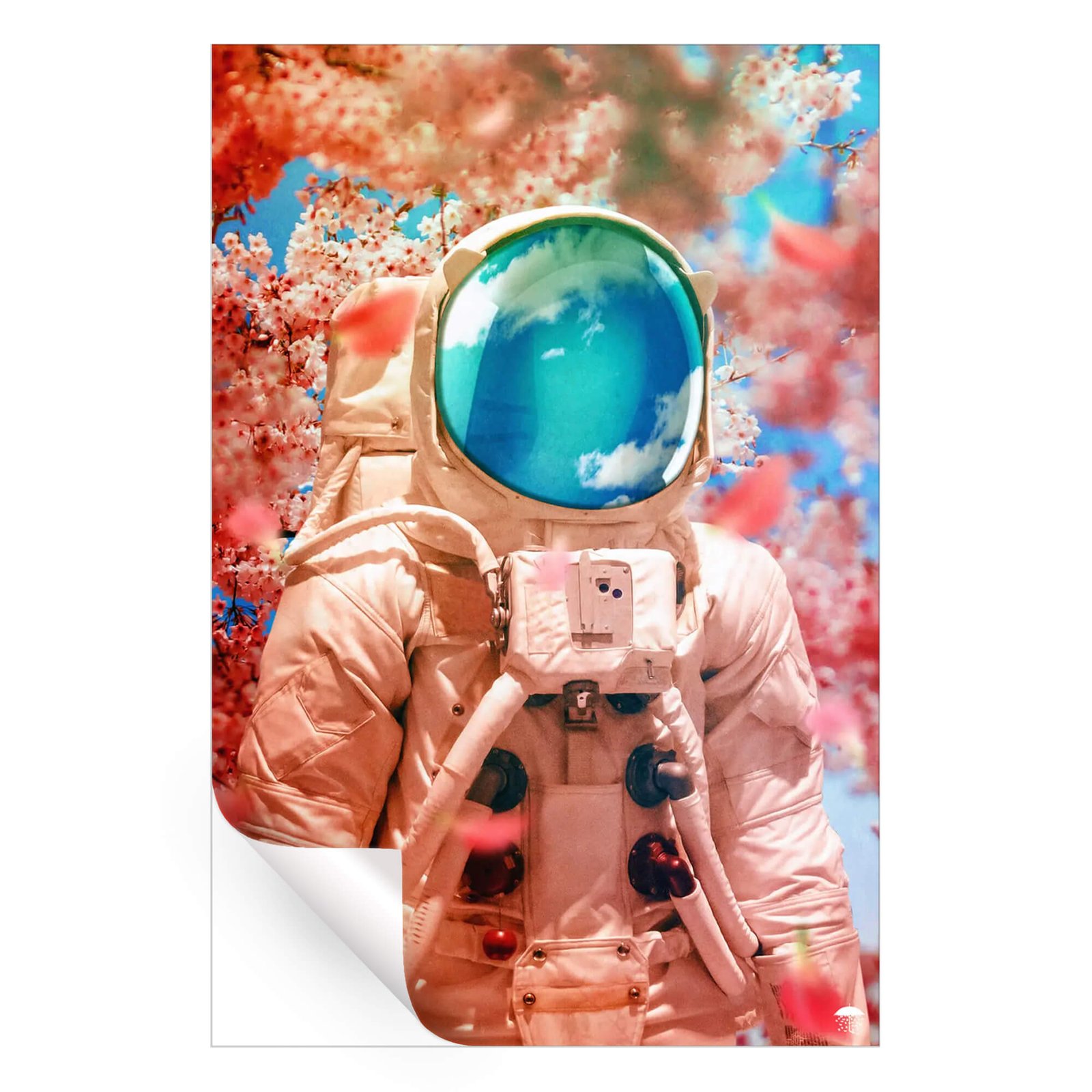 Pacific - Image 3