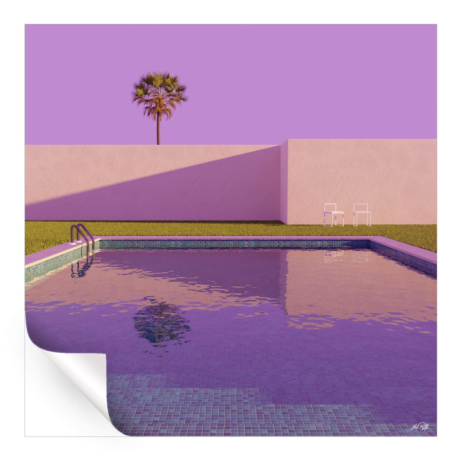 Morning Swim - Image 3