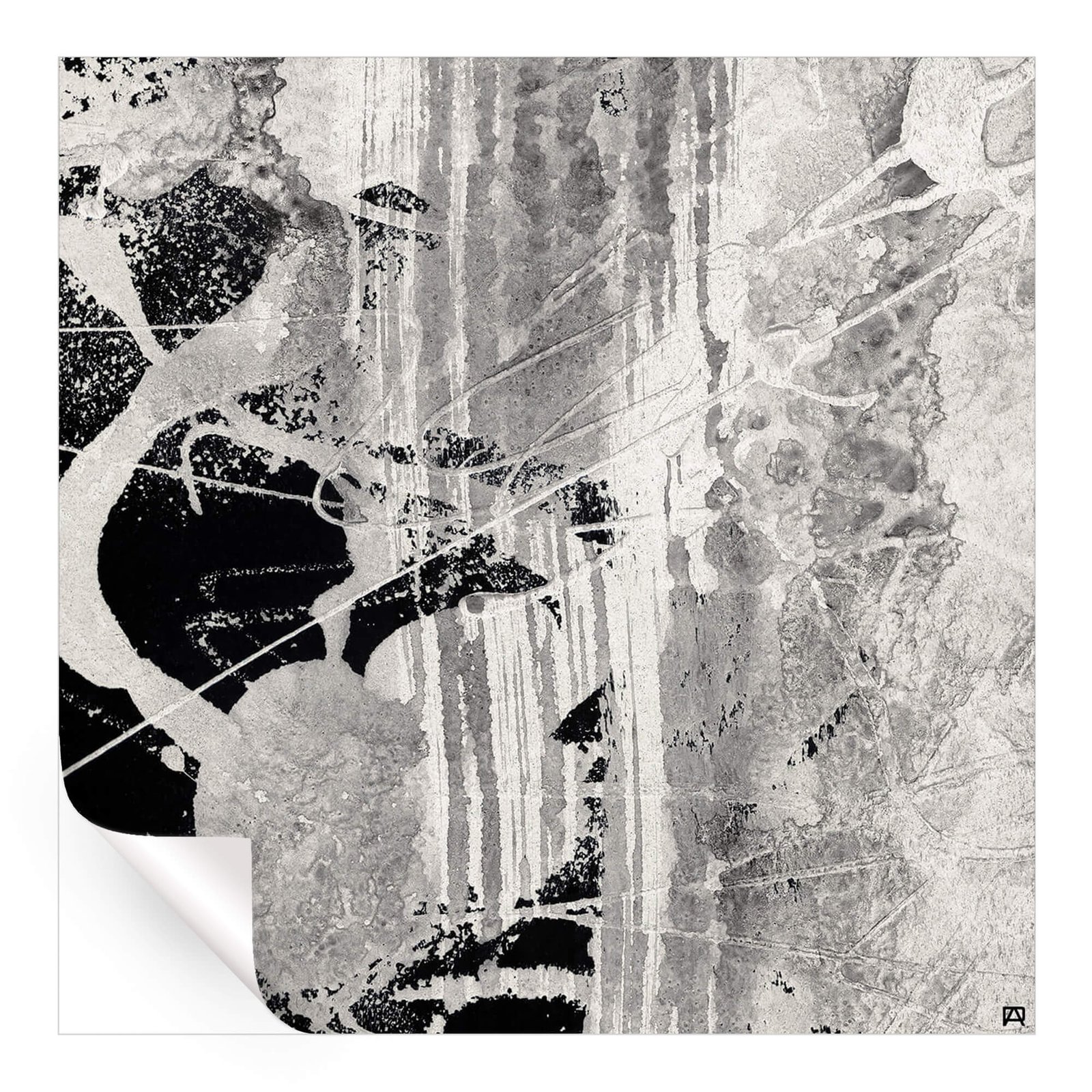 Wild Strokes - Image 3
