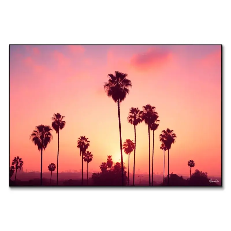 Los Angeles Lights