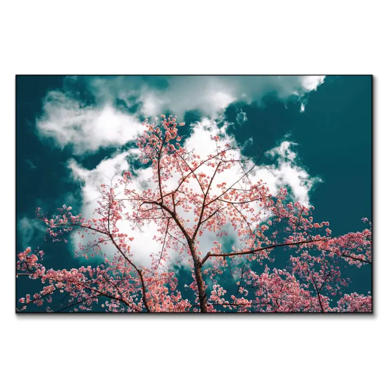 Cherry Blossom Abstracts