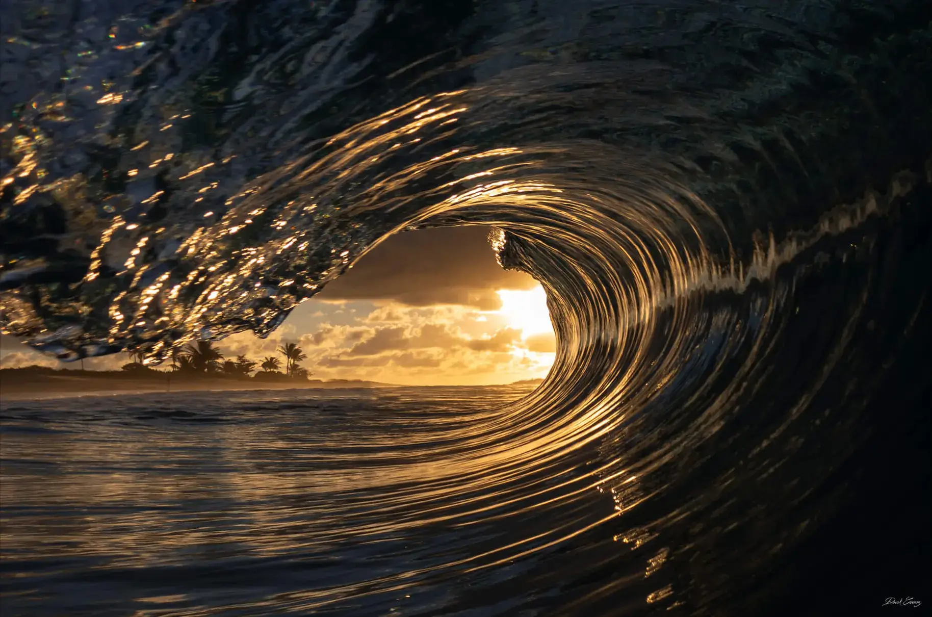 Early Riser - Image 2