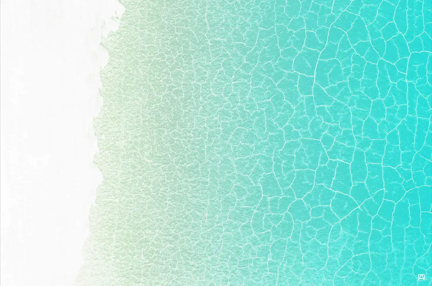 Shallows - Image 2
