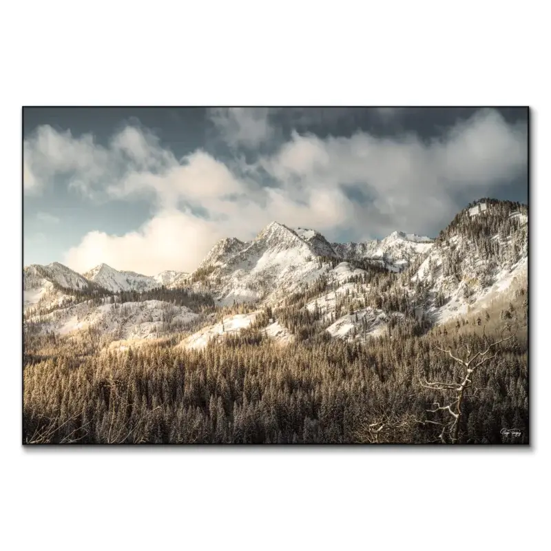 Snowy Peaks