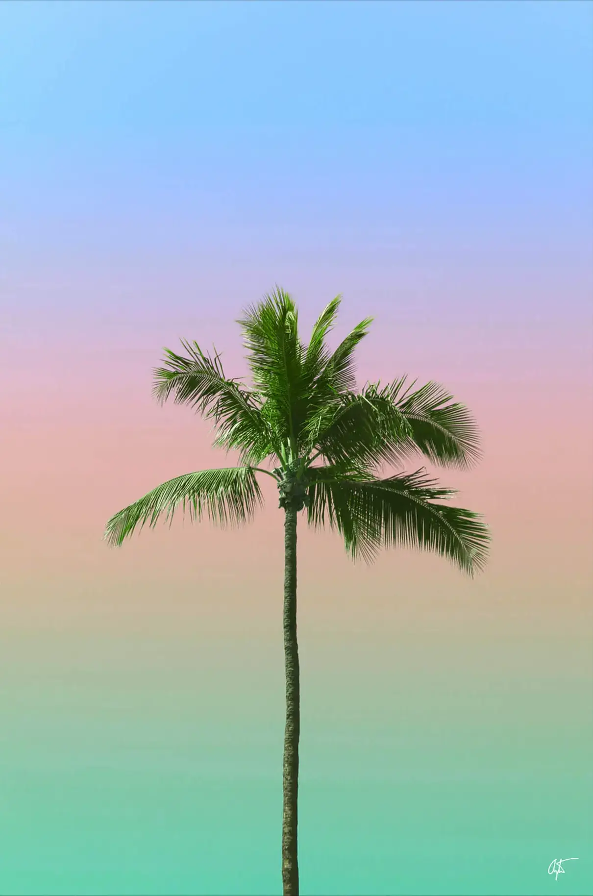 Spectrum - Image 2