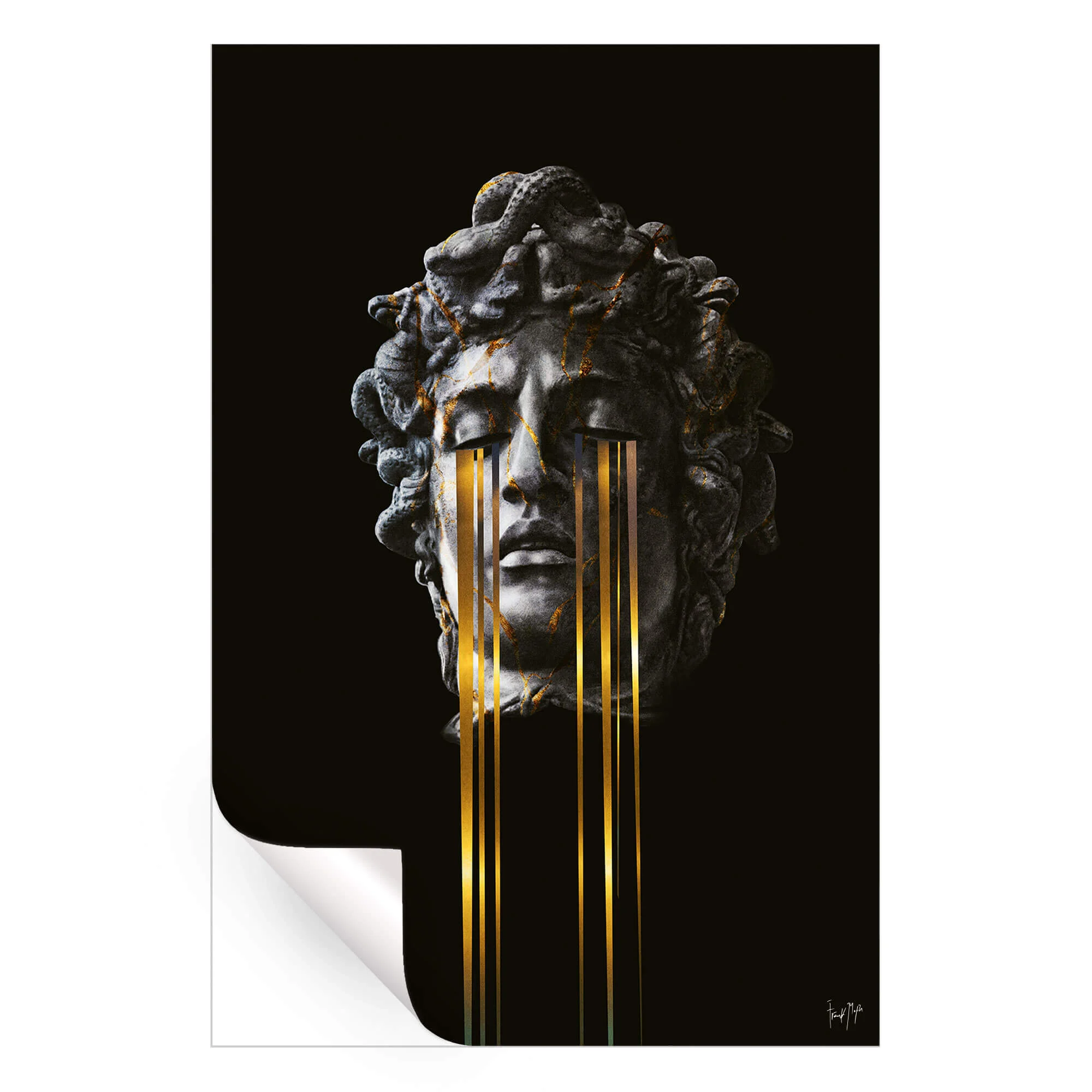 MDS - Image 4