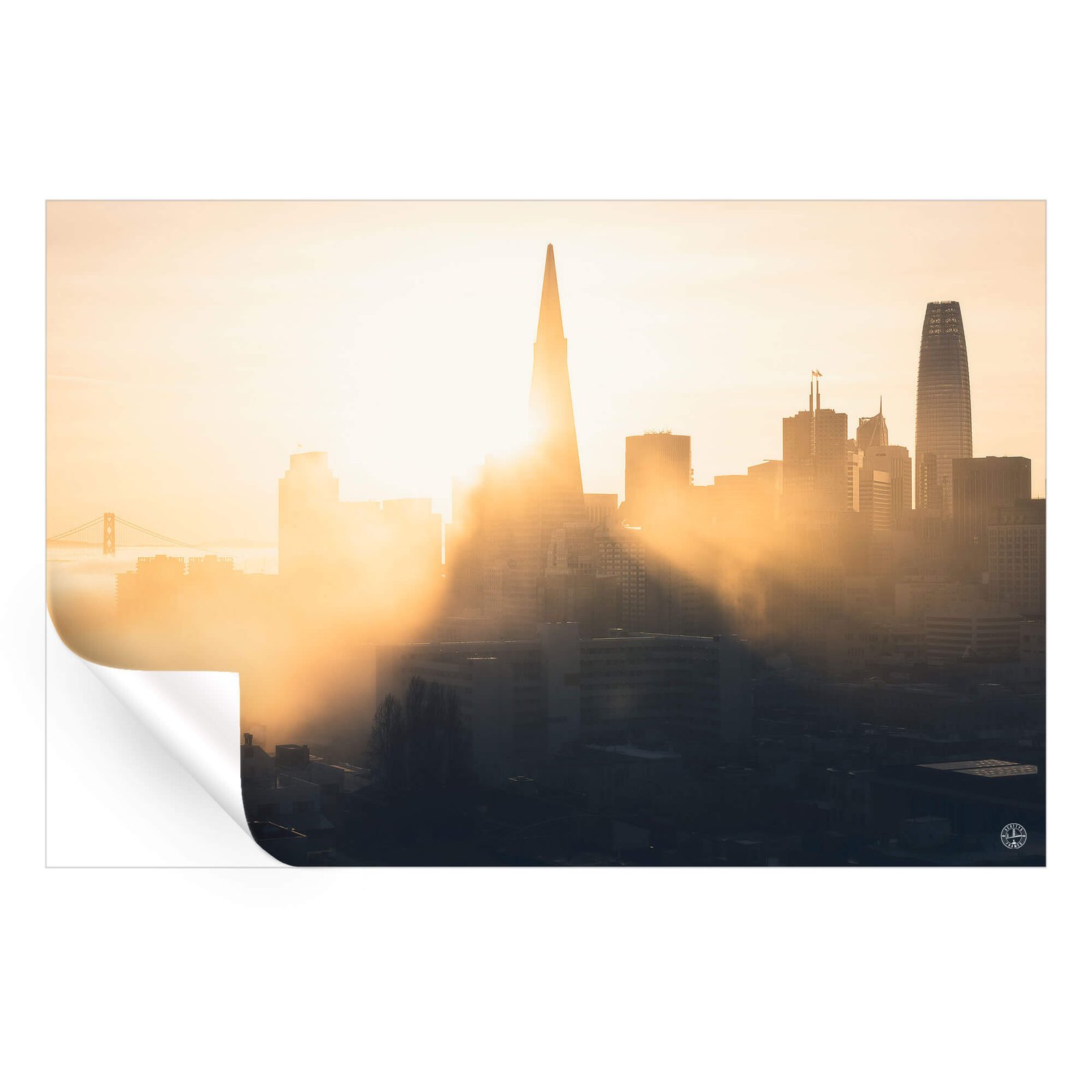 Morning Rays - Image 4