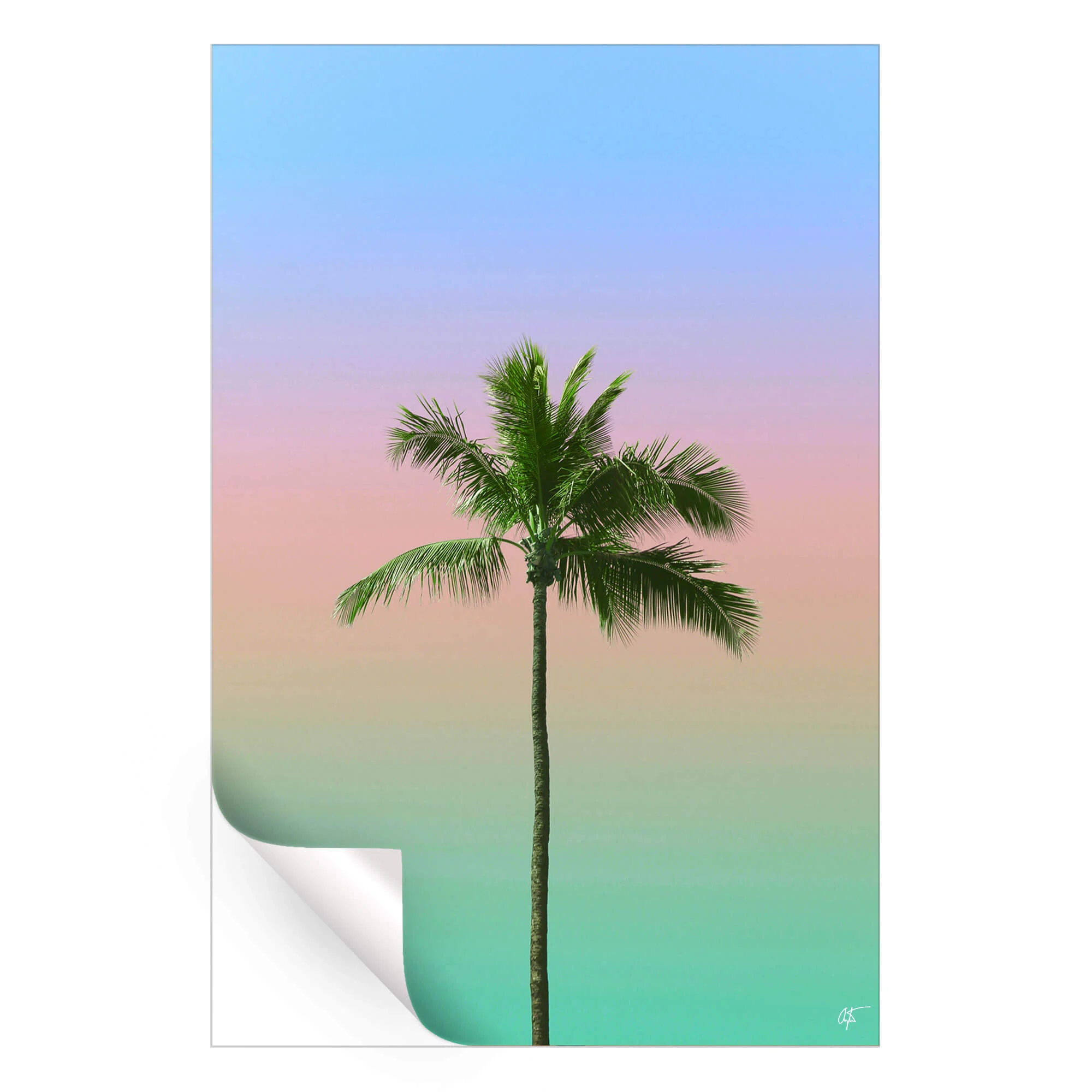 Spectrum - Image 4