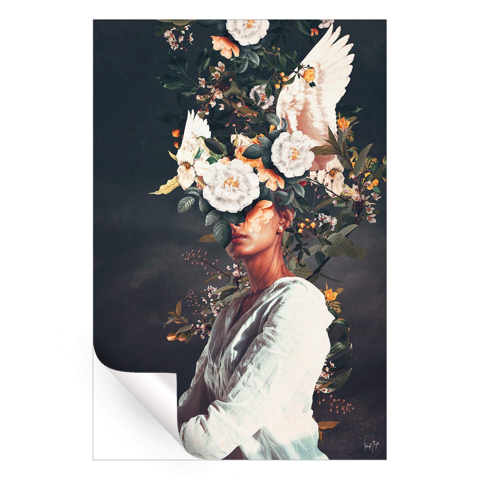 The Last Portrait of Penelope - Image 3