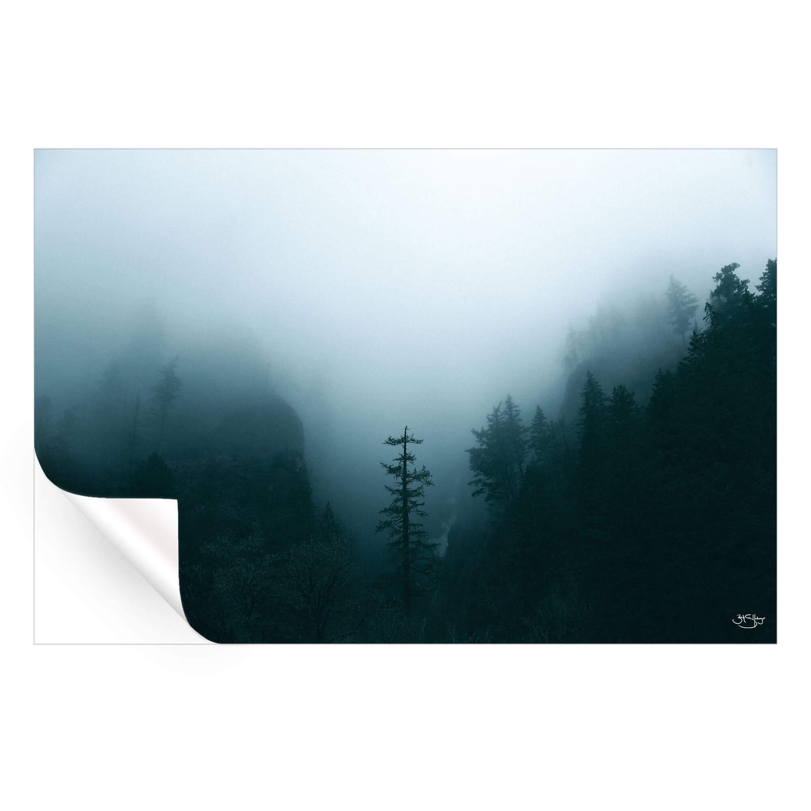 Winter Forest Fog - Image 3