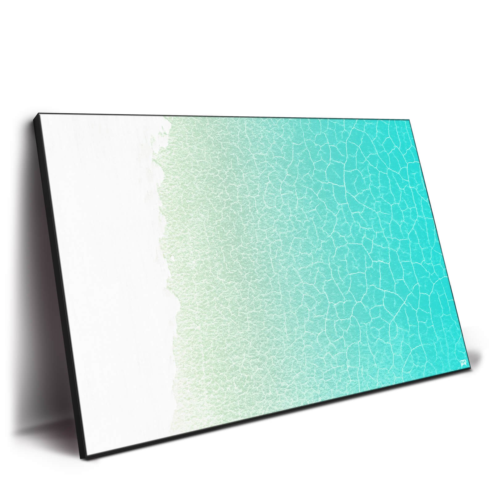 Shallows - Image 3
