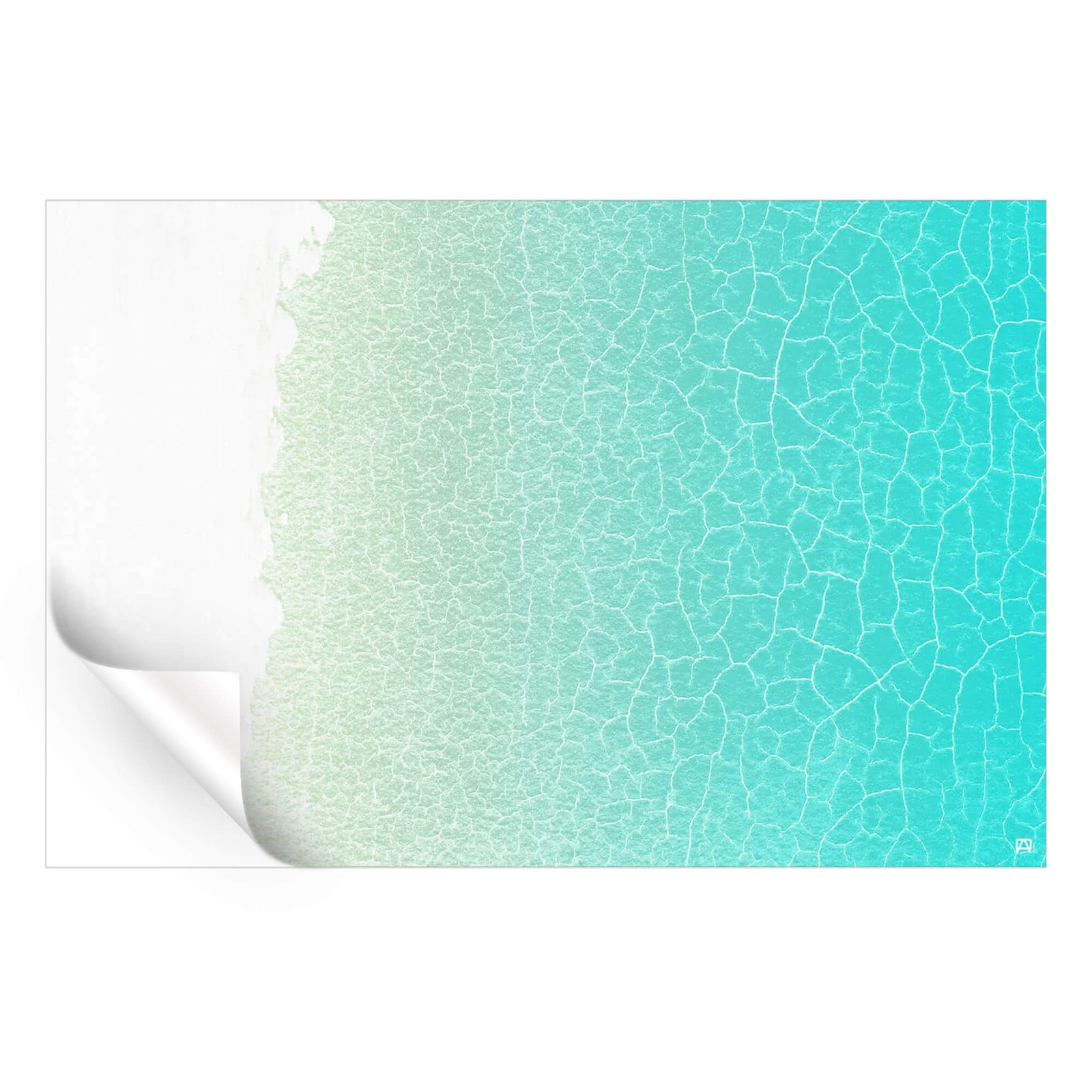 Shallows - Image 4