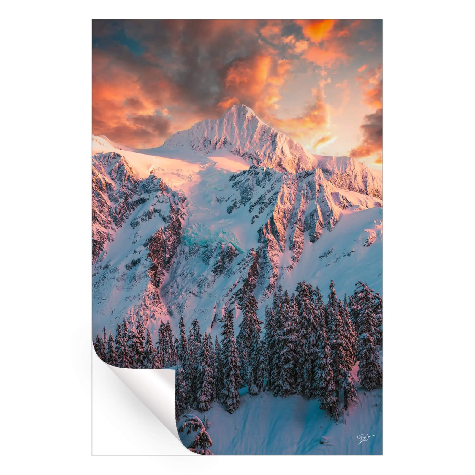 Elemental - Image 3